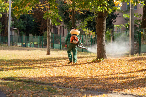 Best Pest Prevention Services  in St Francis, WI