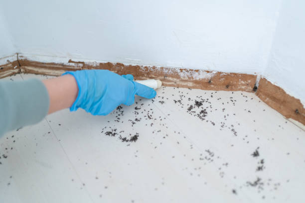 Best Best Pest Control Companies  in St Francis, WI